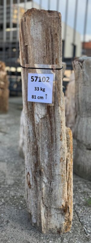 Grabstein versteinertes Holz 57102