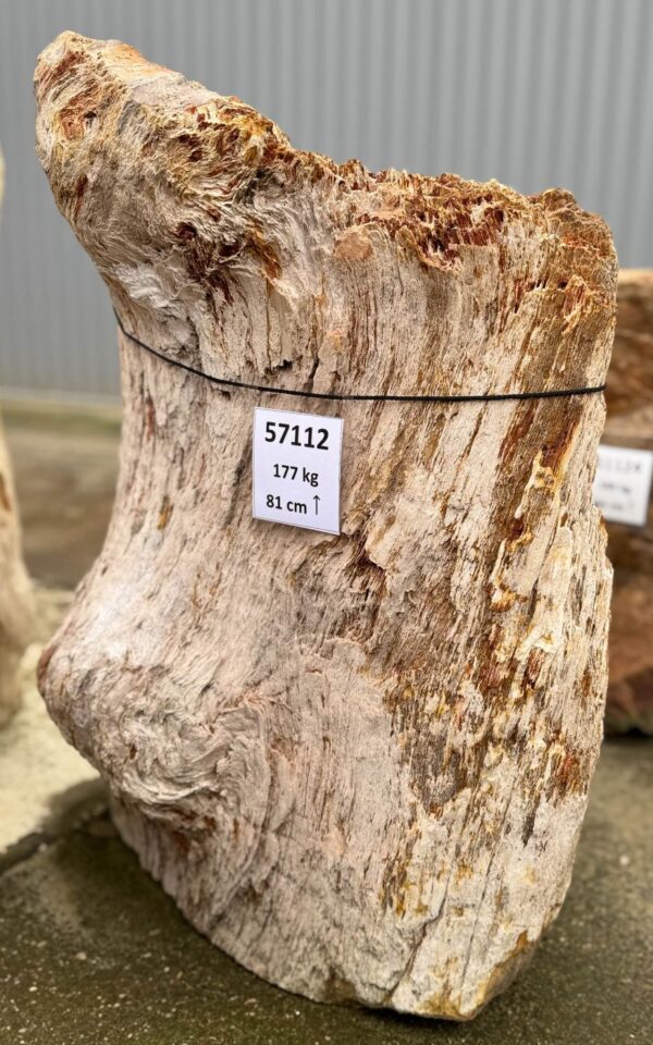 Grabstein versteinertes Holz 57112