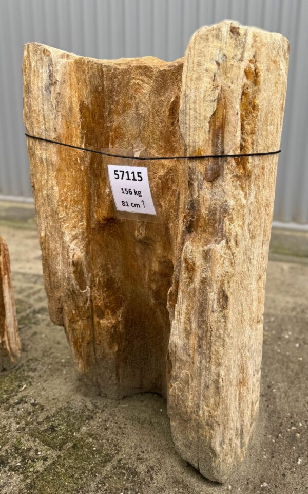 Grabstein versteinertes Holz 57115