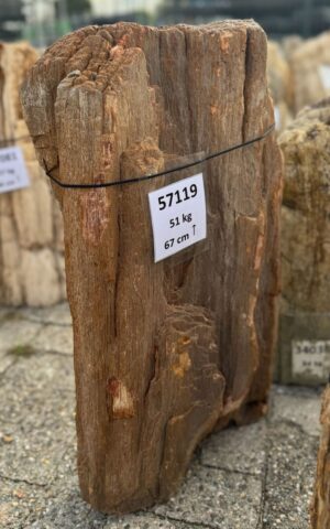 Grabstein versteinertes Holz 57119