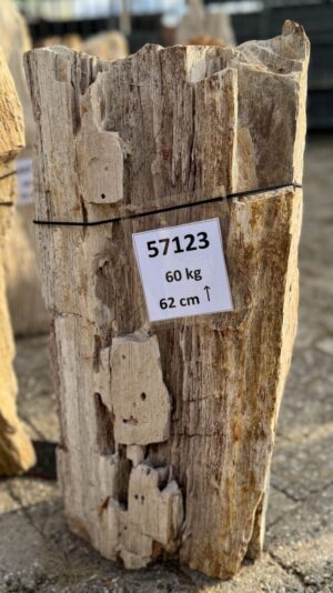 Grabstein versteinertes Holz 57123