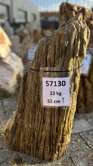 Grabstein versteinertes Holz 57130