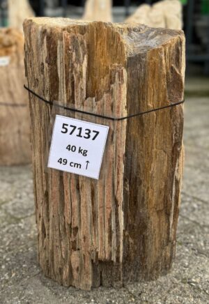 Grabstein versteinertes Holz 57137