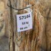 Grabstein versteinertes Holz 57144