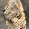 Grabstein versteinertes Holz 57144
