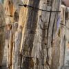 Grabstein versteinertes Holz 57144