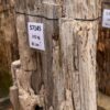 Grabstein versteinertes Holz 57145