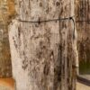 Grabstein versteinertes Holz 57145