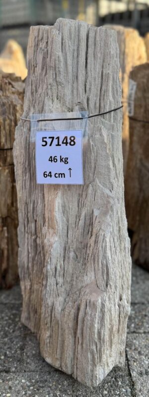 Grabstein versteinertes Holz 57148