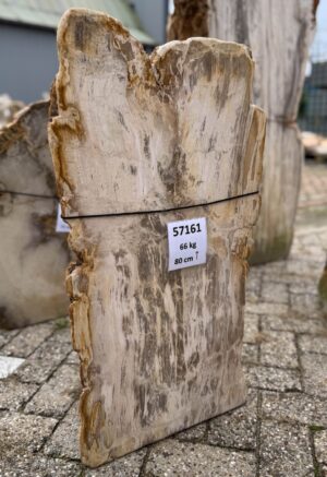 Grabstein versteinertes Holz 57161