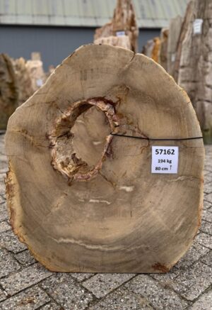 Grabstein versteinertes Holz 57162