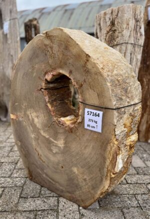 Grabstein versteinertes Holz 57164