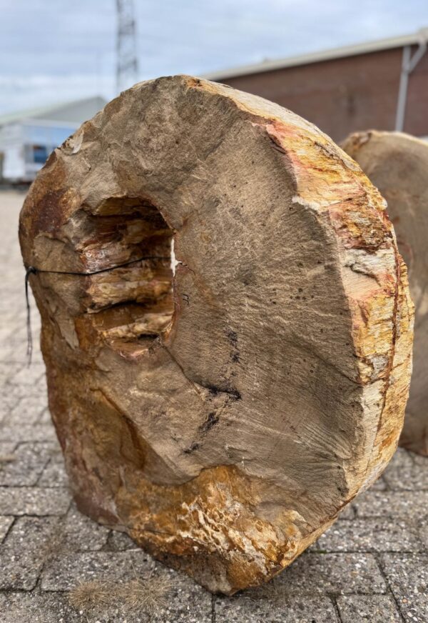 Grabstein versteinertes Holz 57164