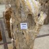 Grafsteen versteend hout 56040