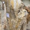 Grafsteen versteend hout 56040