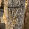 Grafsteen versteend hout 56041