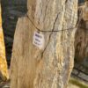 Grafsteen versteend hout 56043