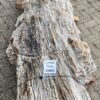 Grafsteen versteend hout 56045