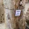 Grafsteen versteend hout 56046