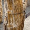 Grafsteen versteend hout 56046