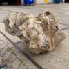 Grafsteen versteend hout 56049