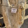 Grafsteen versteend hout 56050