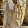 Grafsteen versteend hout 56050