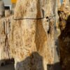 Grafsteen versteend hout 56050