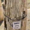 Grafsteen versteend hout 56052