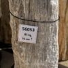 Grafsteen versteend hout 56053
