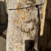 Grafsteen versteend hout 56053