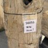 Grafsteen versteend hout 56056