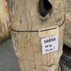 Grafsteen versteend hout 56056