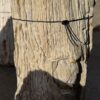 Grafsteen versteend hout 56056