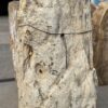 Grafsteen versteend hout 56058