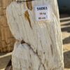 Grafsteen versteend hout 56061