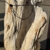 Grafsteen versteend hout 56061