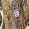 Grafsteen versteend hout 56064