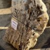 Grafsteen versteend hout 56064