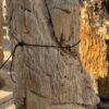 Grafsteen versteend hout 56064