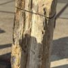 Grafsteen versteend hout 56065