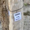 Grafsteen versteend hout 56066