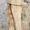 Grafsteen versteend hout 56066