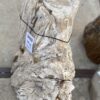 Grafsteen versteend hout 56068