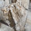 Grafsteen versteend hout 56068