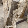 Grafsteen versteend hout 56068