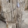 Grafsteen versteend hout 56068