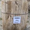 Grafsteen versteend hout 56083
