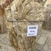 Grafsteen versteend hout 56086