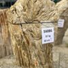 Grafsteen versteend hout 56086